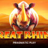 Recenze automatu Great Rhino