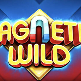 Recenze automatu Magnetic Wild