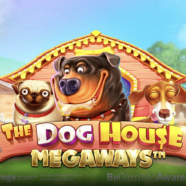 Recenze automatu The Dog House Megaways